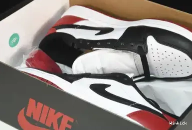 1 LOW JORDAN 555088-1251 AIR 0420